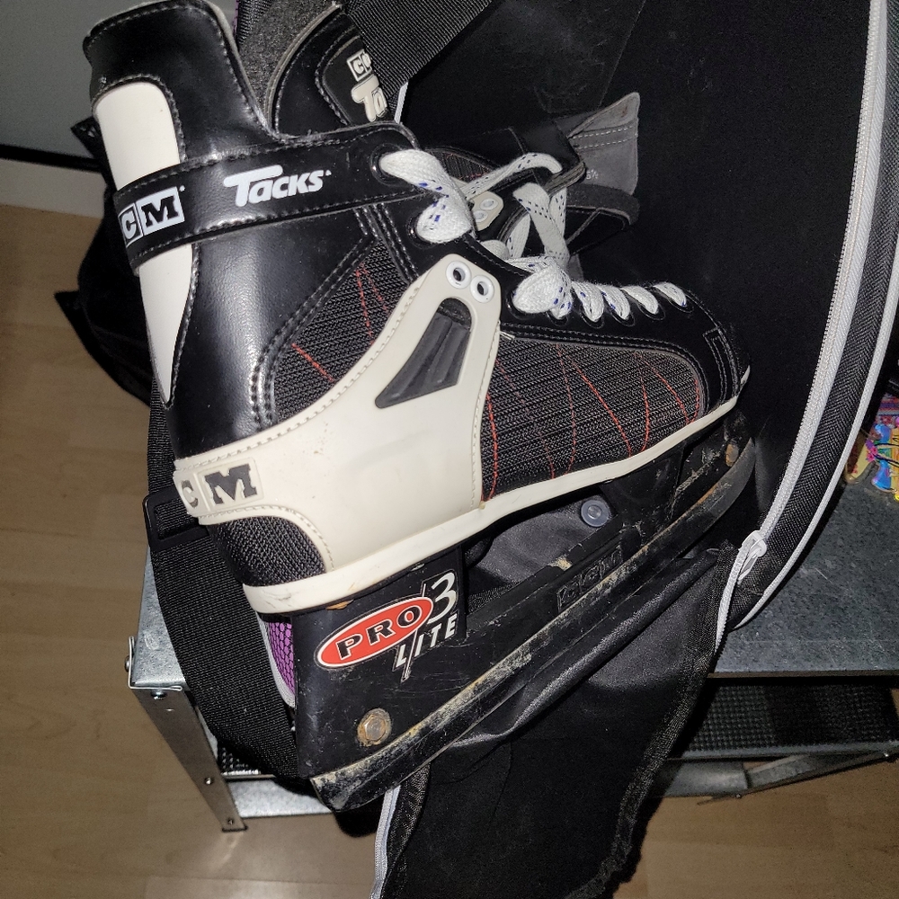 Shoe's,  skate,  computer screen, purse
